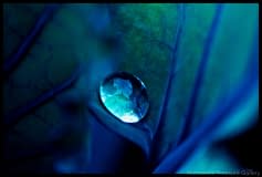 Blue-4.30.45-PM