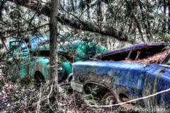 Gilford-Trail-8