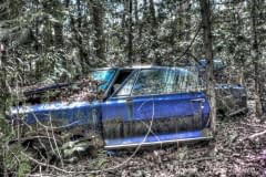 Gilford-Trail-6