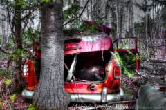 Gilford-Trail-1