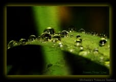 Bubbly