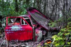 Gilford-Trail-2