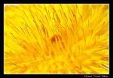 Inner-beauty