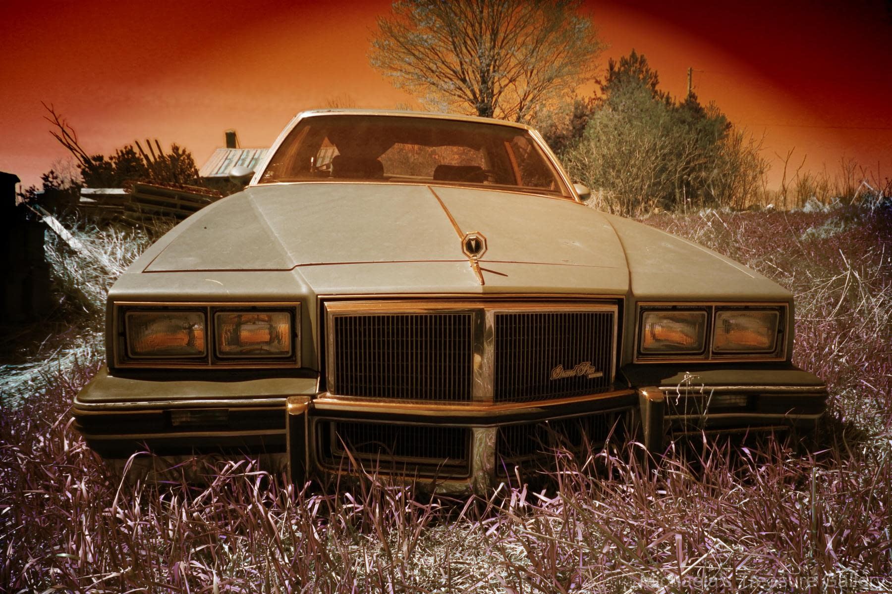 In-the-heat-of-the-night