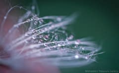After-the-rain