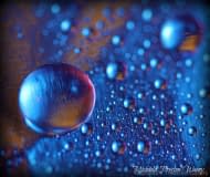 bubble