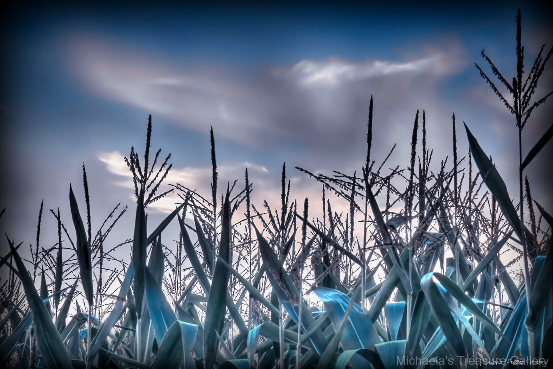 Corn2