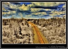 Bridge-3