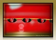 Coke-Reflections