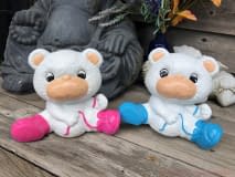 Teddybaer