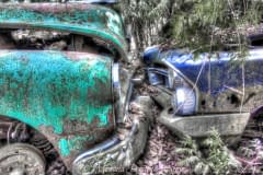 Gilford-Trail-7