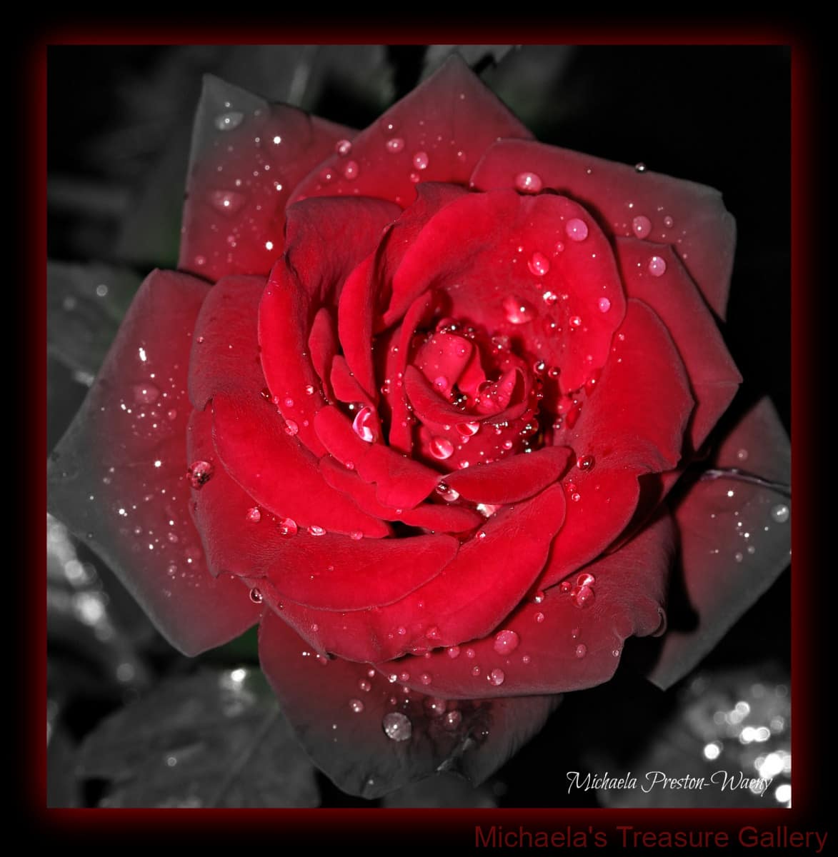 Red-Rose