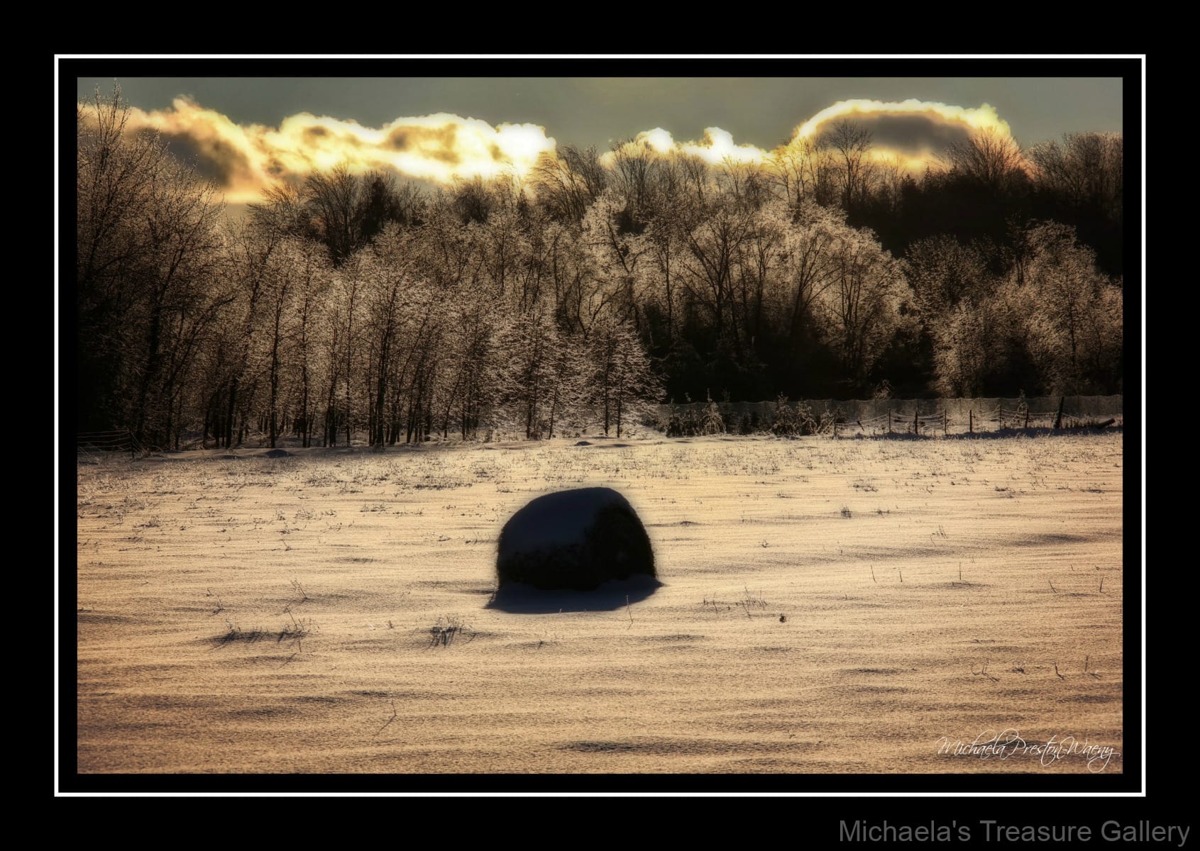 Frozen-Hay-Ball-12.04.26-PM