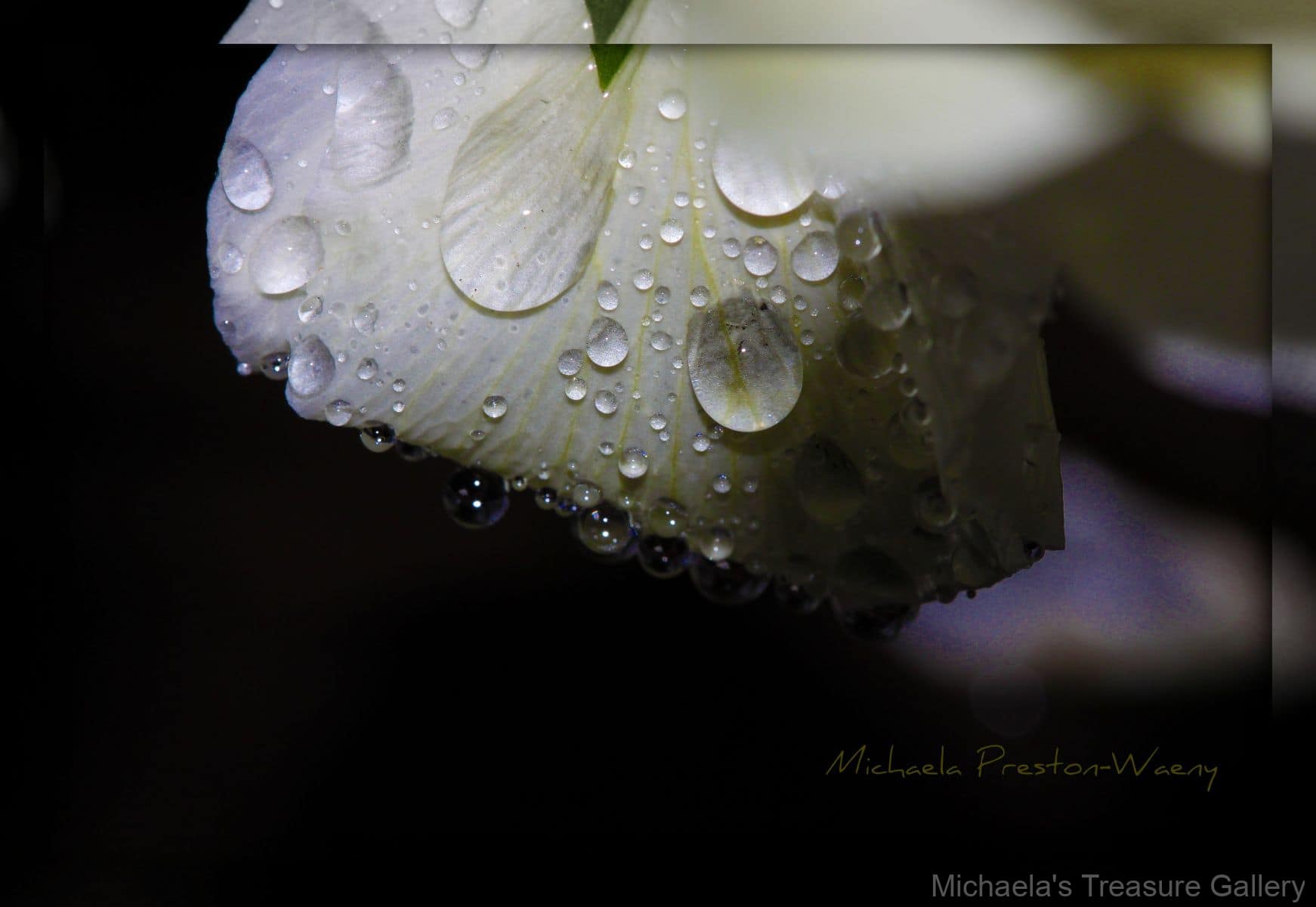 Drops-4
