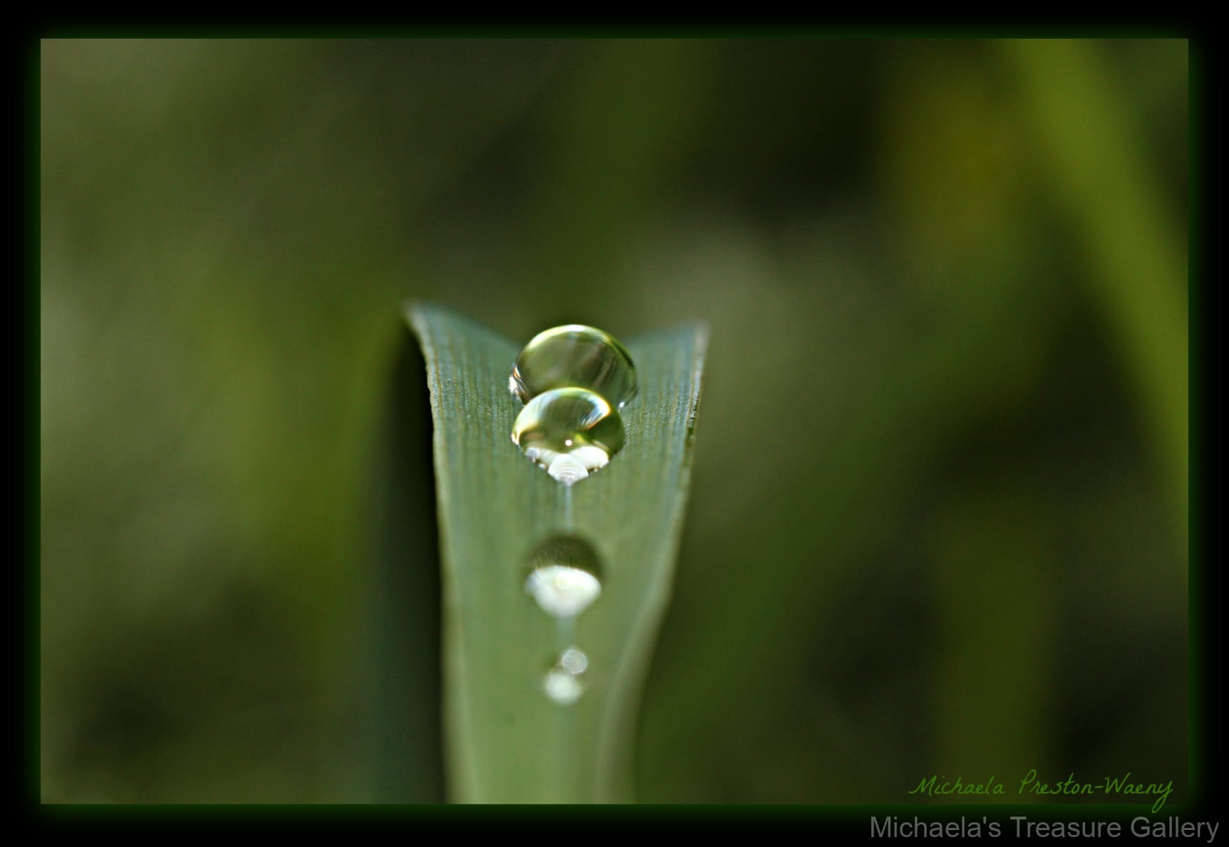 Raindrops