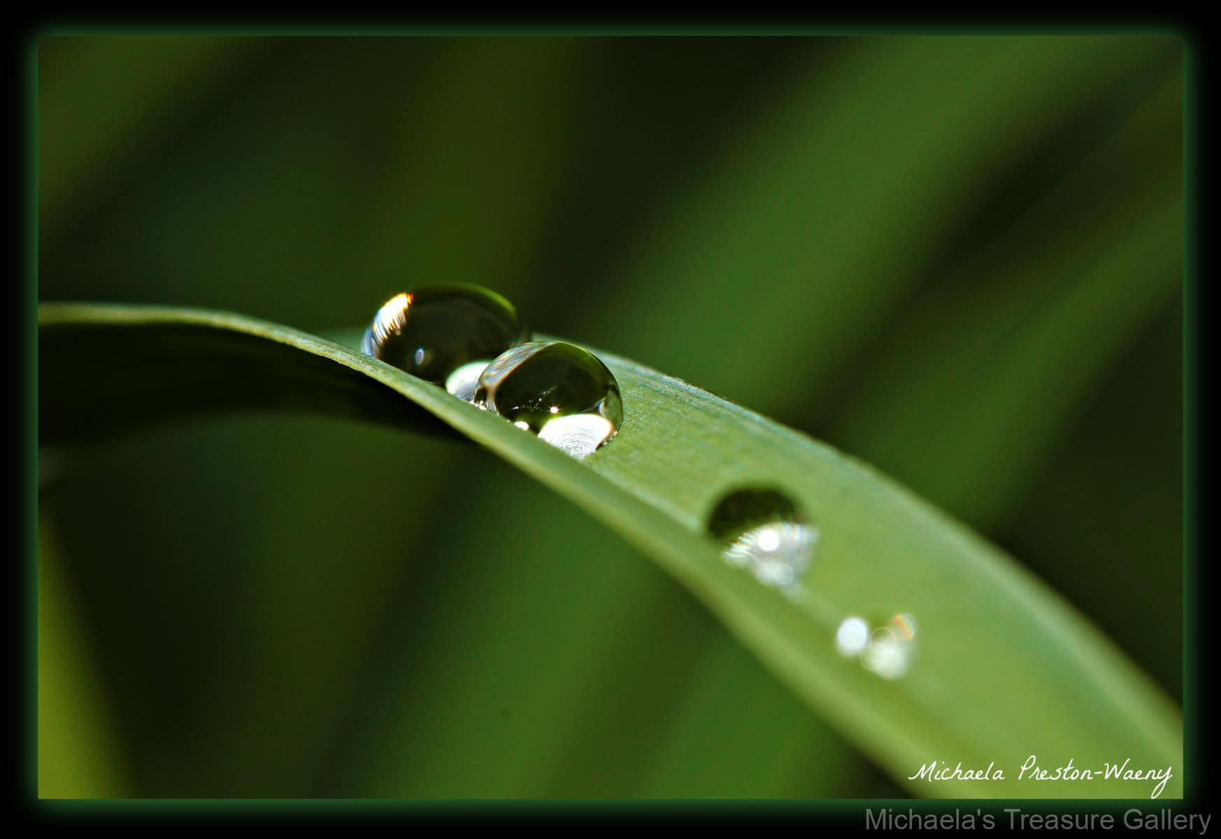 Raindrops-2