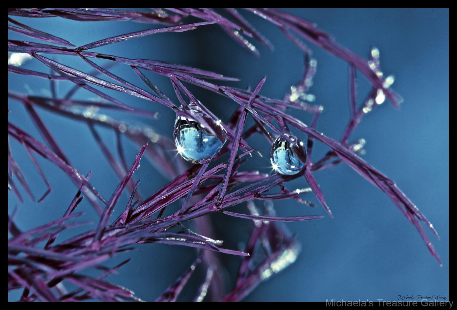 Tranquility-7.31.19-PM