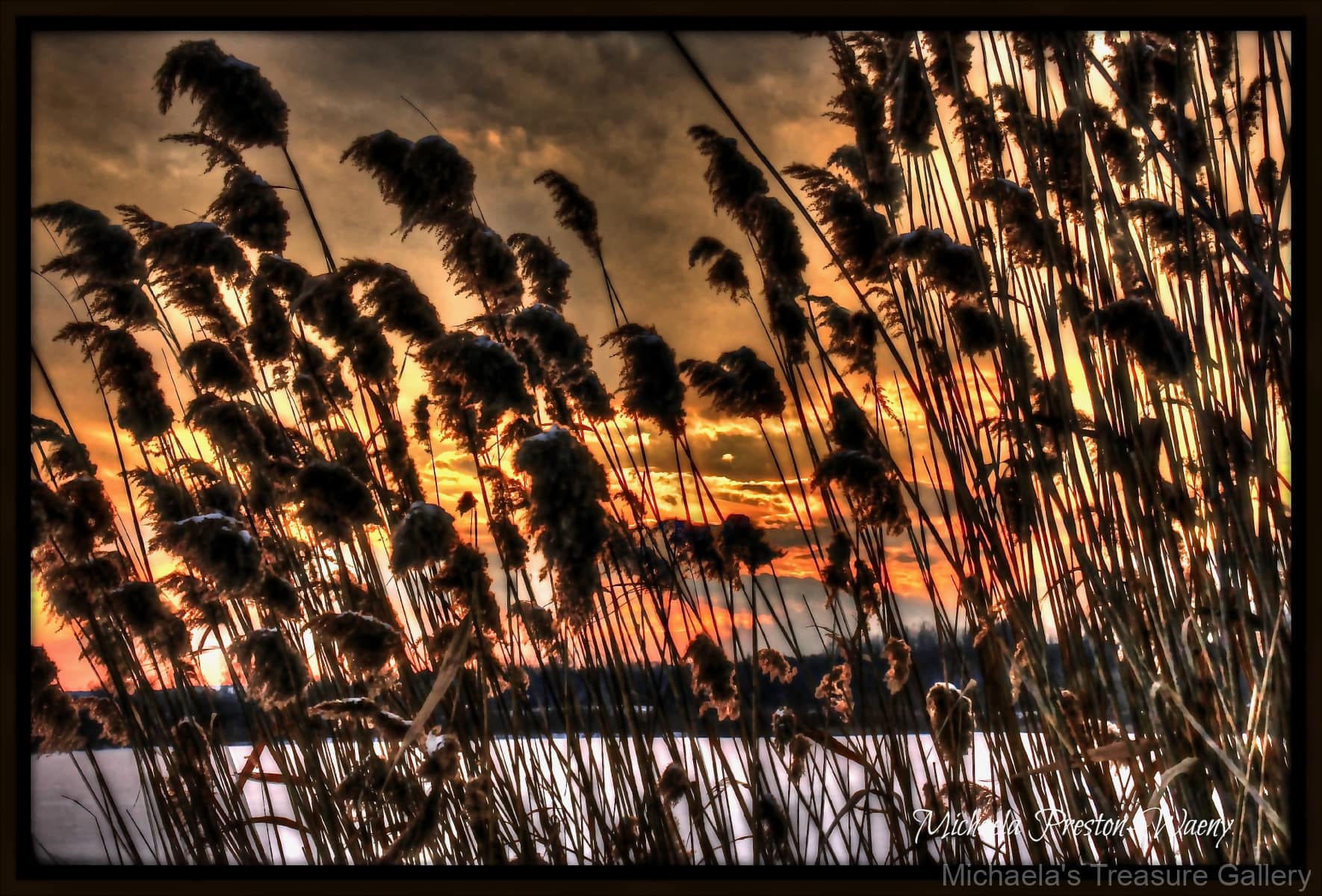 Sunset-at-the-Pond-4