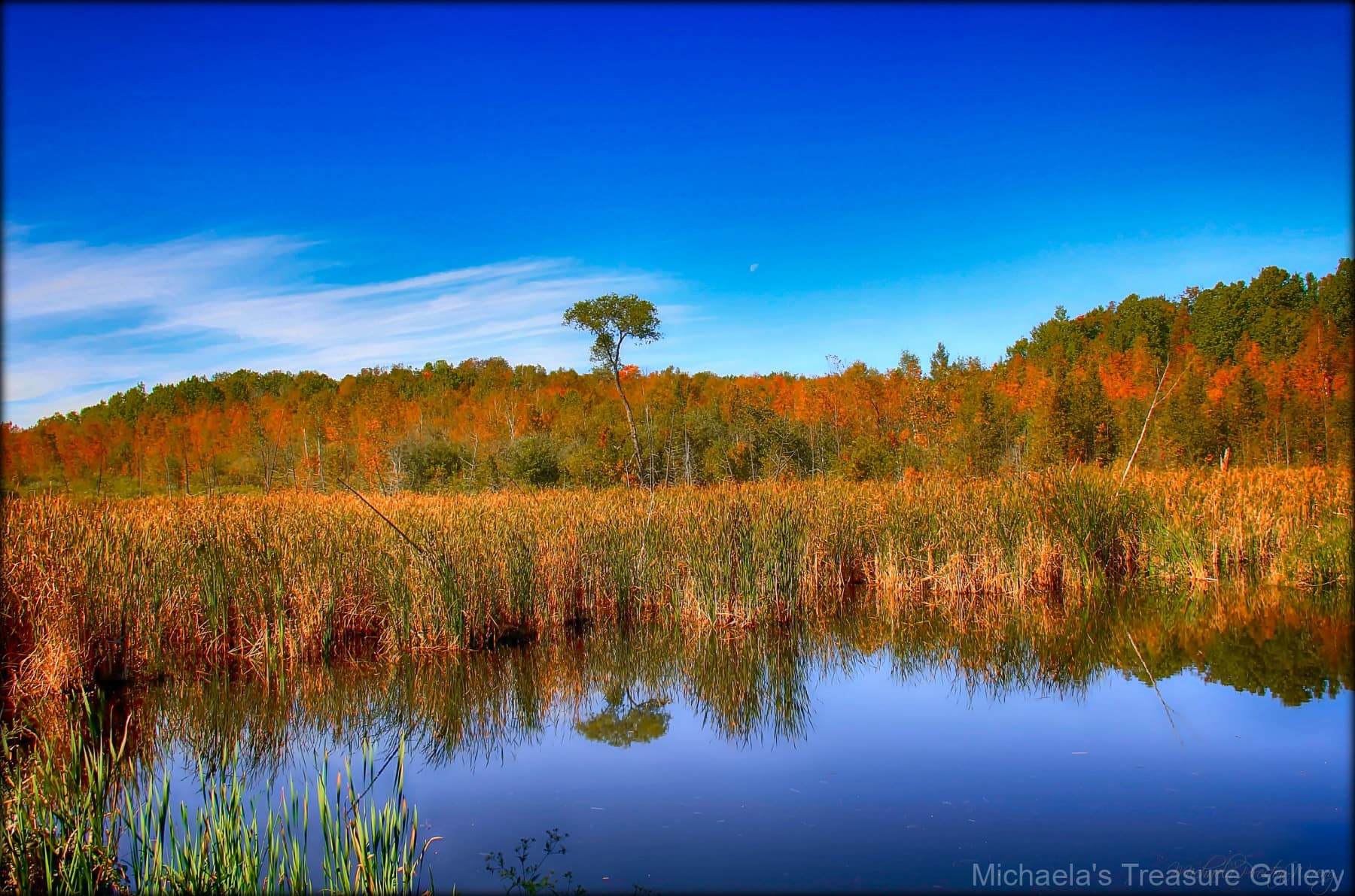 Reflections-5.21.58-PM