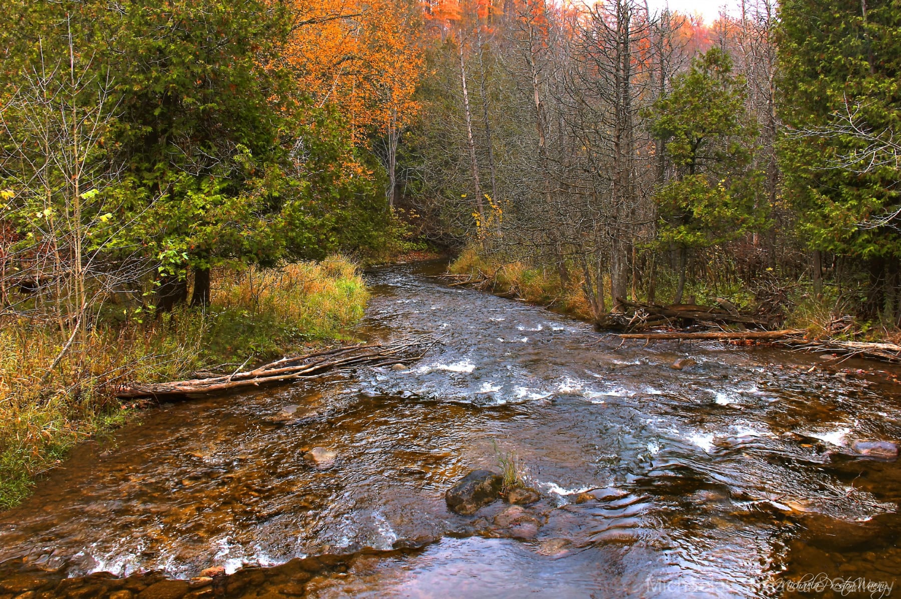 Noisy-River-8.43.42-PM