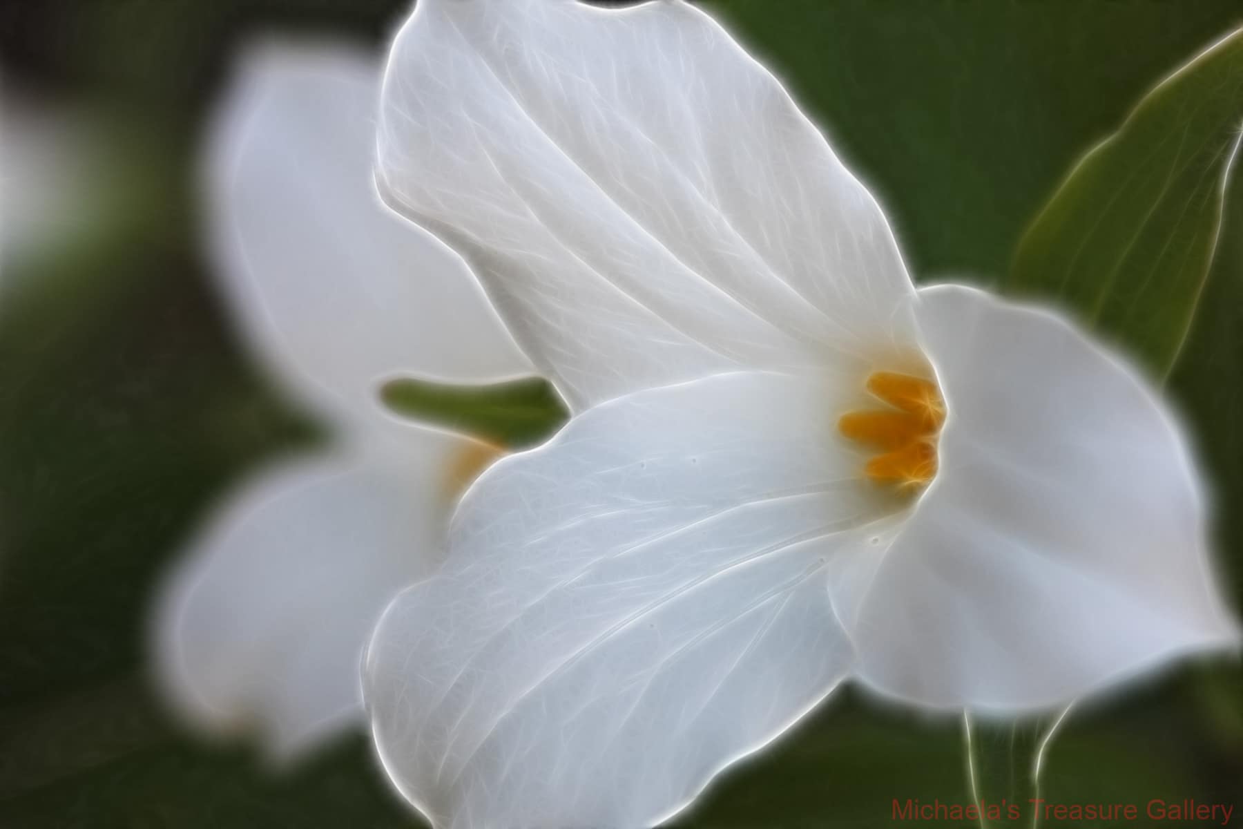 Trillium-Fractalis