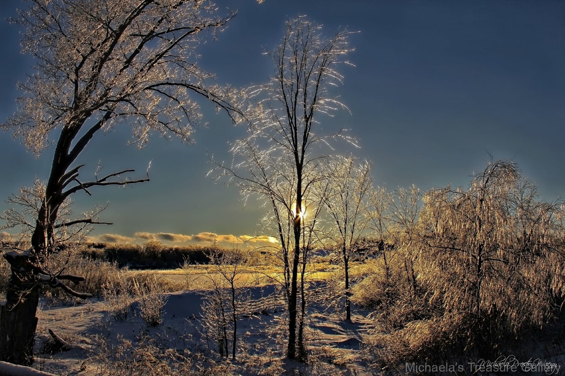 Ice-Storm-2013-8.46.59-PM