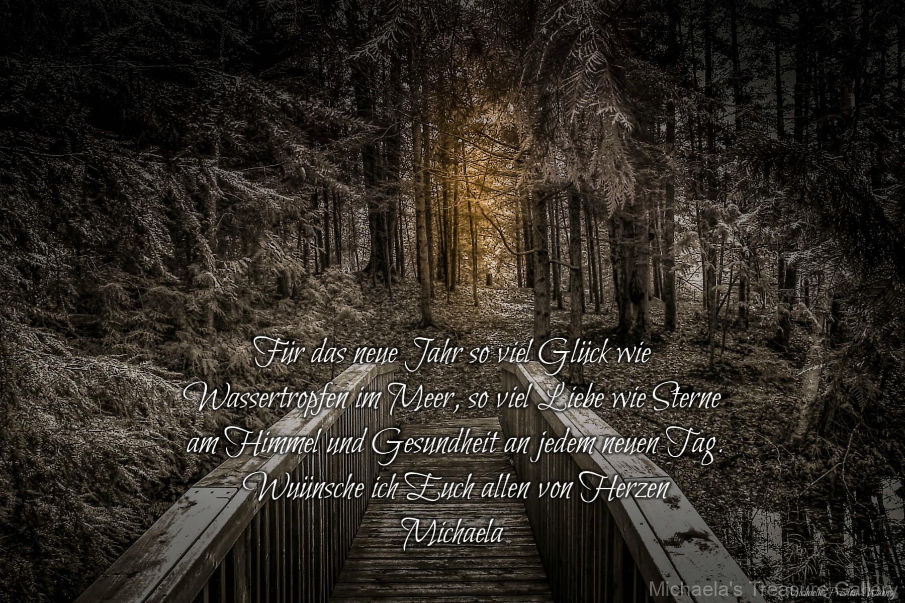 The-Light-in-the-Woods-1