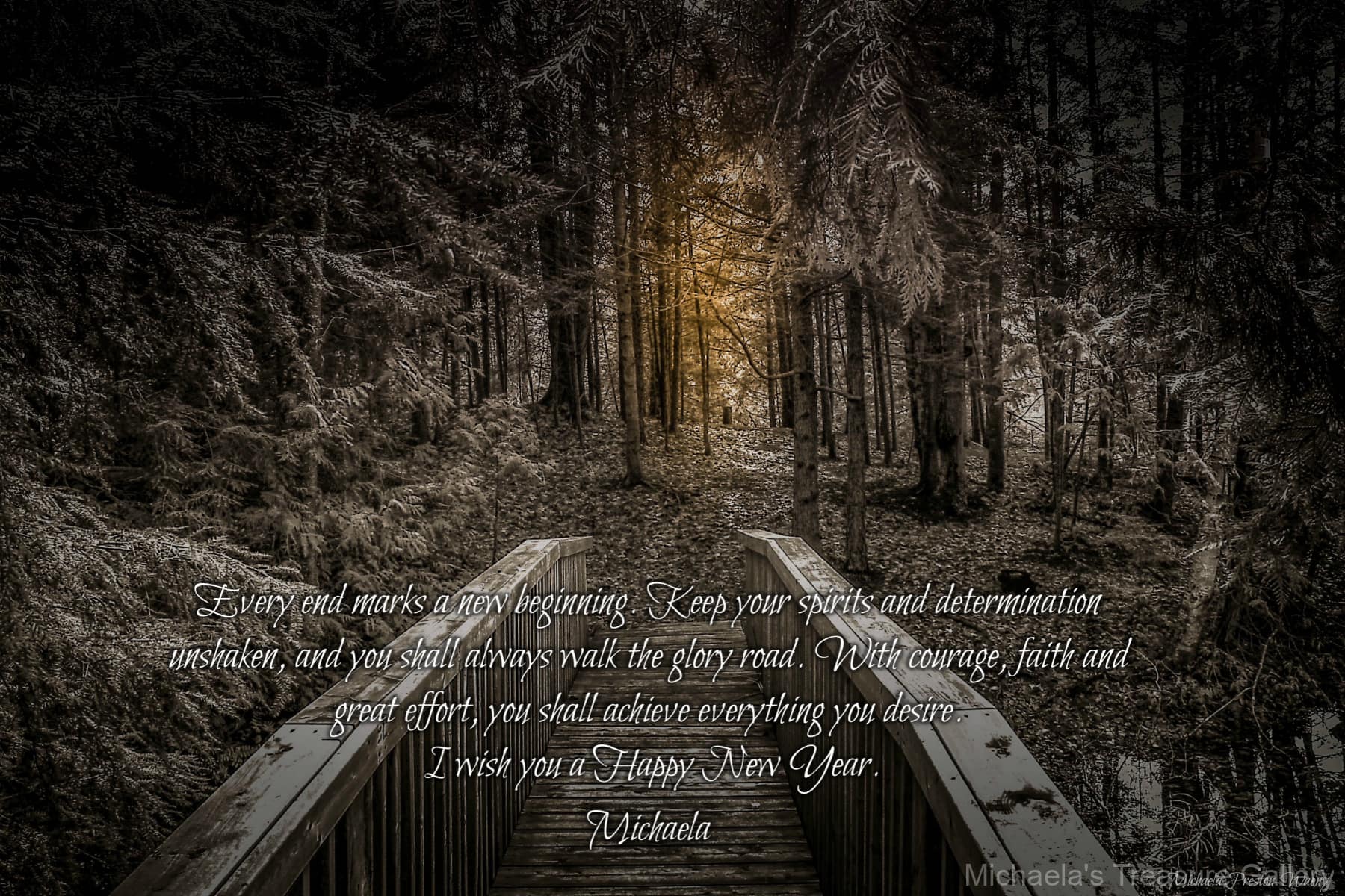 The-Light-in-the-Woods-english