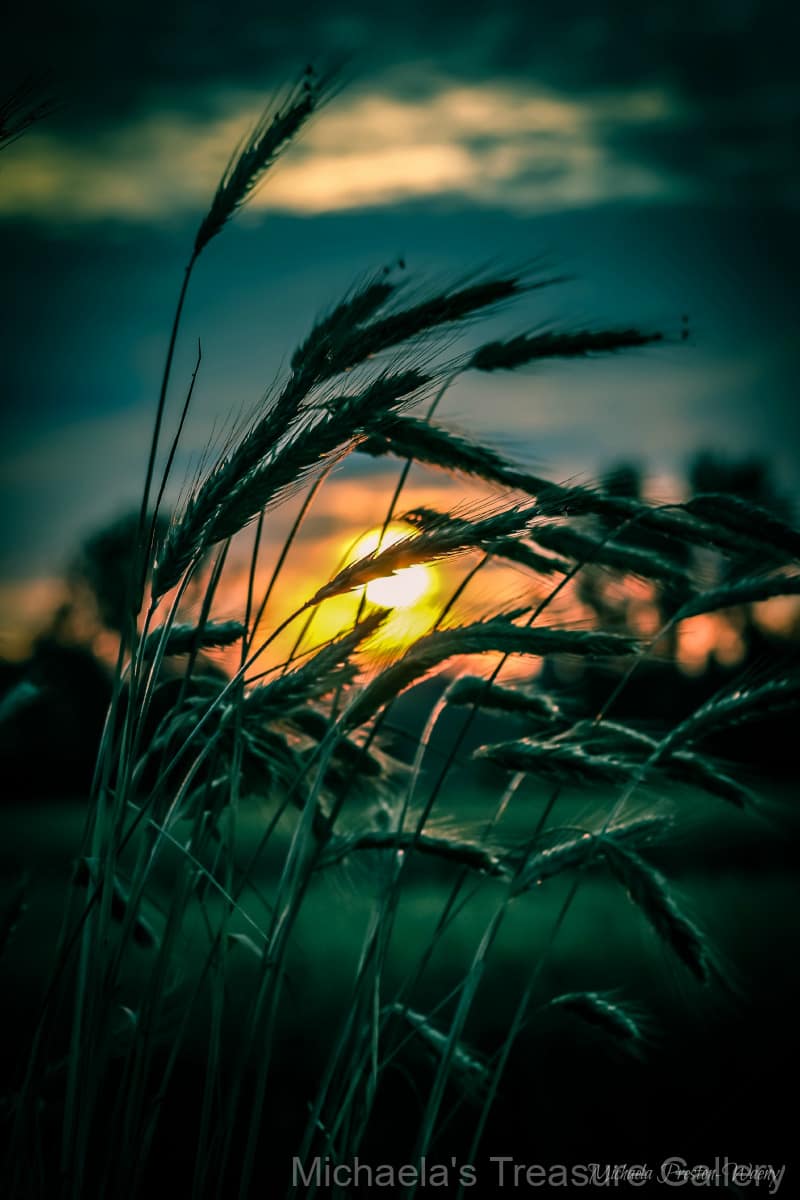 Beyond-Expectations-2