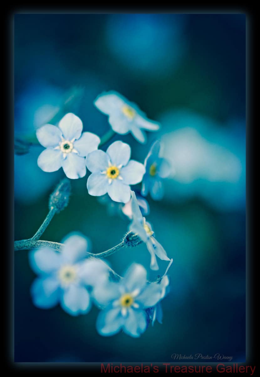 Soft-blue